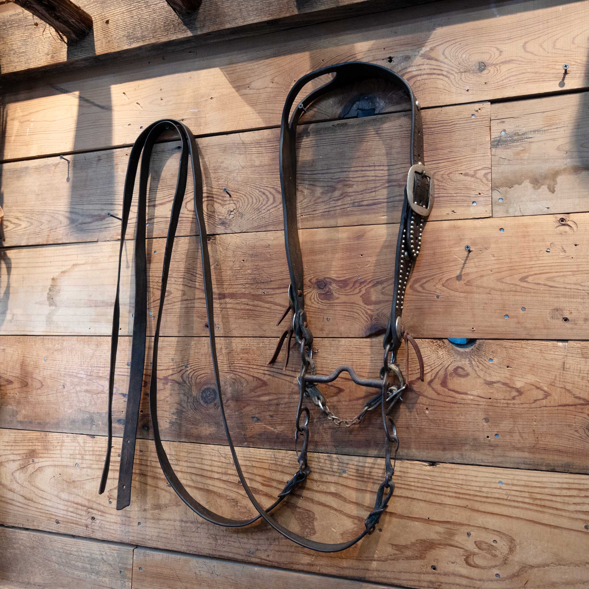 Vintage Western Style Silver Dots & Conchos Bridle Set - Image 4
