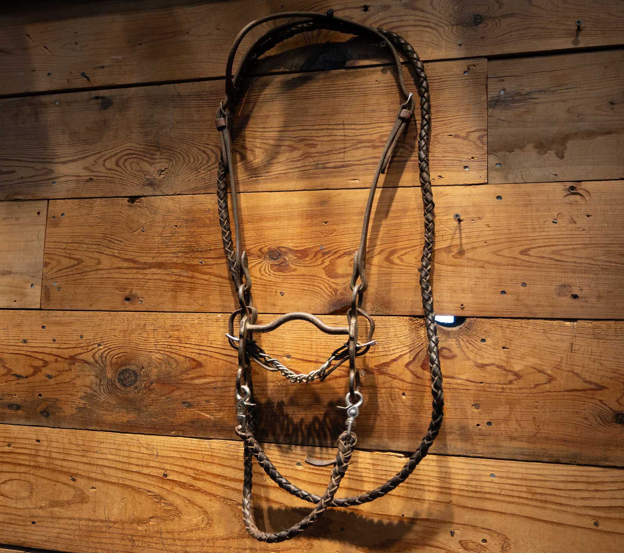 Vintage Silver Shanks with Solid Port Bridle Rig - Image 2