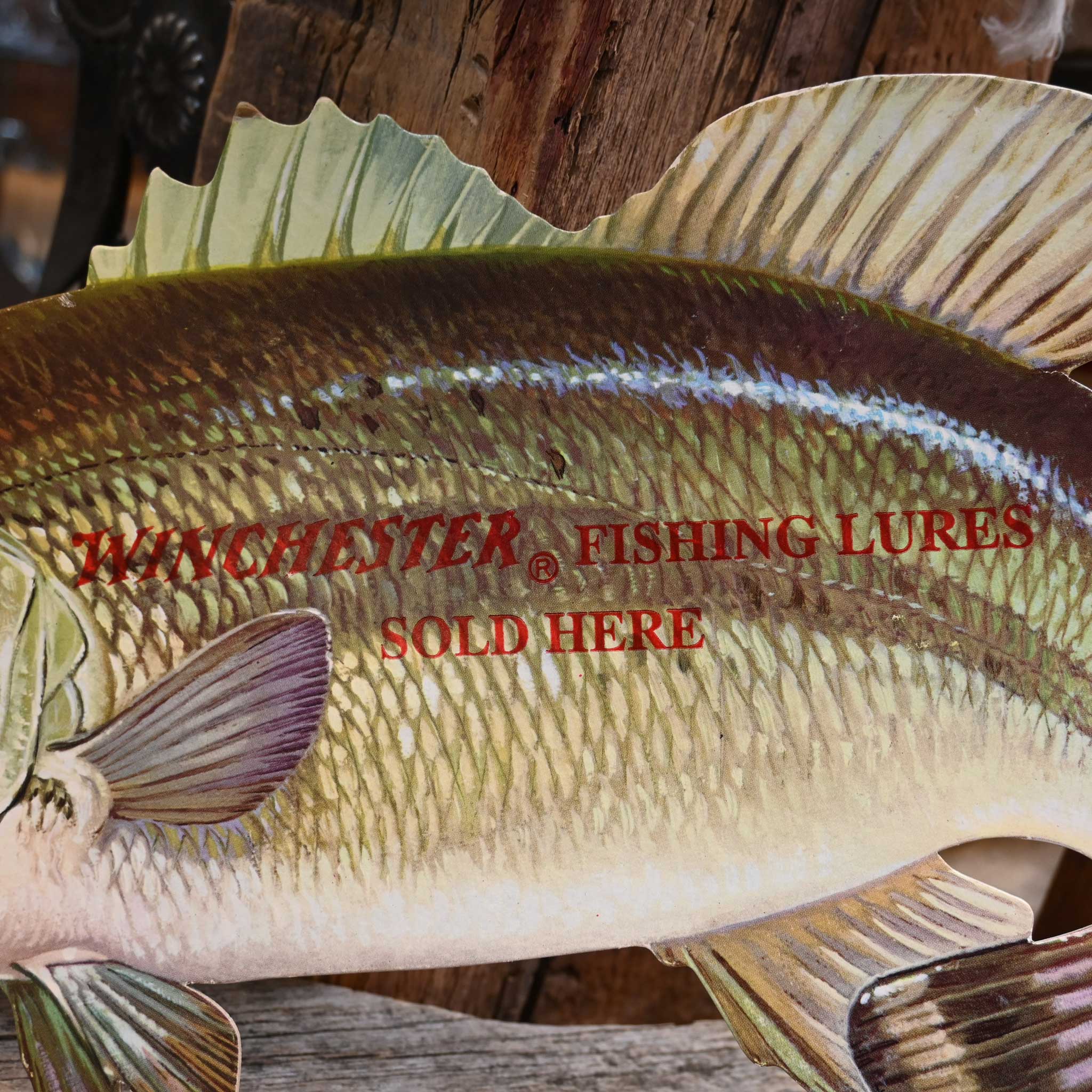 Vintage Winchester Fishing Lures Die-cut Bass Fish Advertisement, 1920’s - Image 2