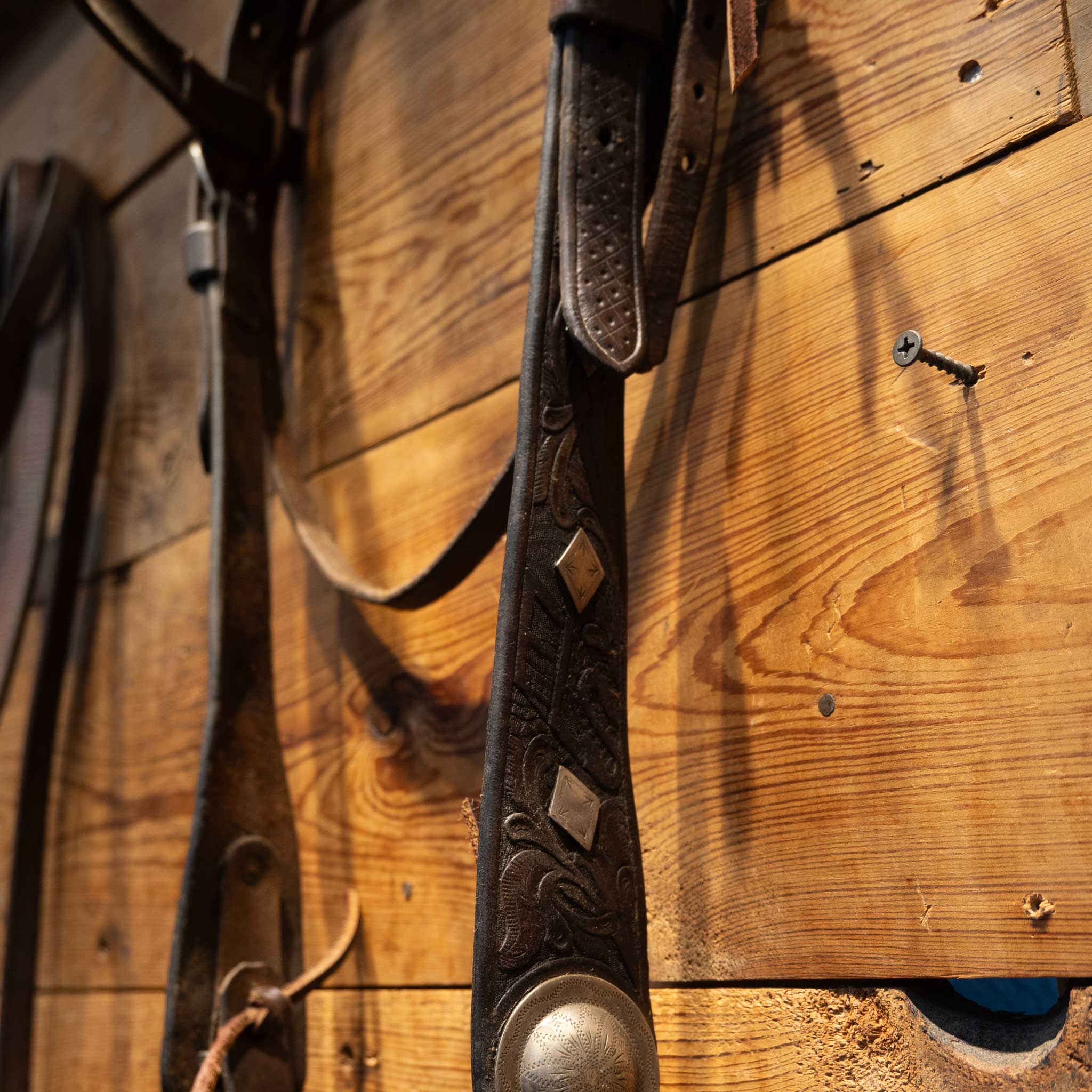 Beurman Diamond Concho Ported Bit Bridle Rig - Image 3