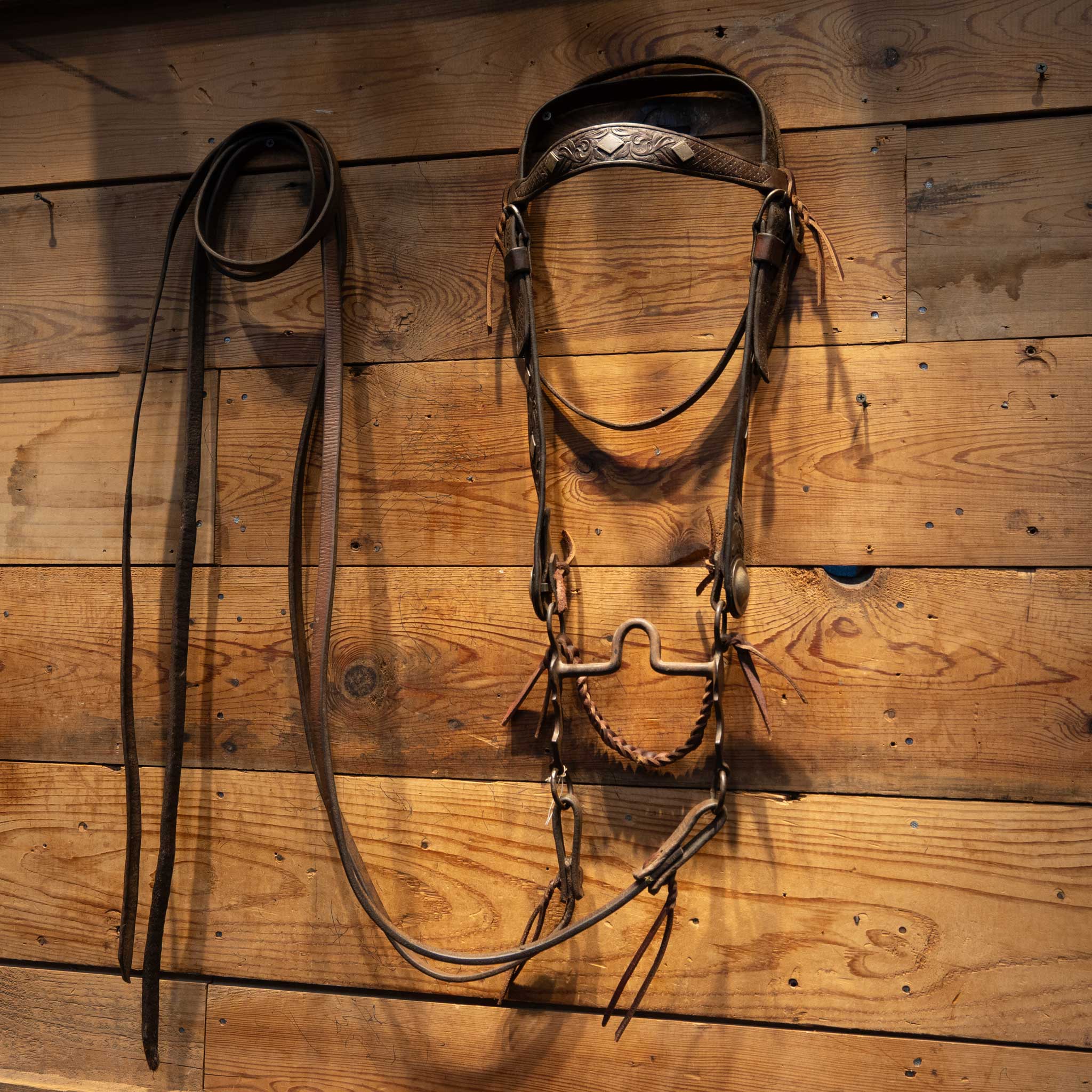 Beurman Diamond Concho Ported Bit Bridle Rig - Image 8