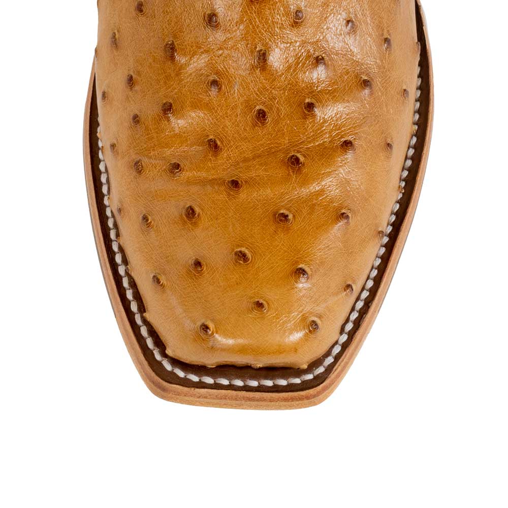 Macie Bean Antique Saddle Full Quill Ostrich Boot - Image 2