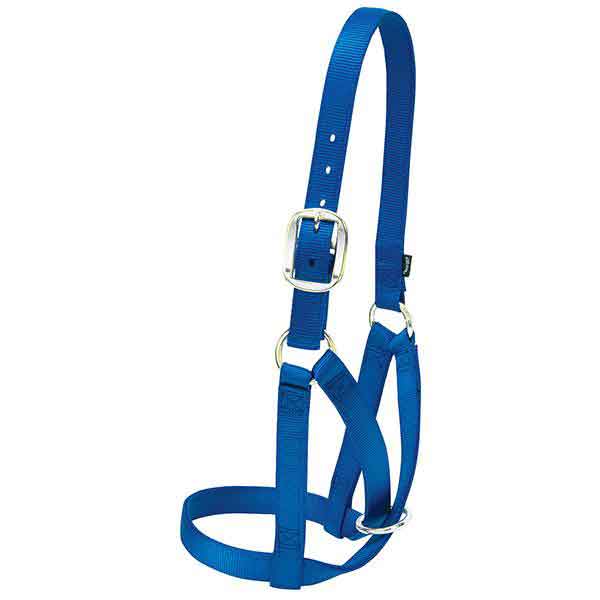 Weaver Barn Small Cow Halter - Image 2