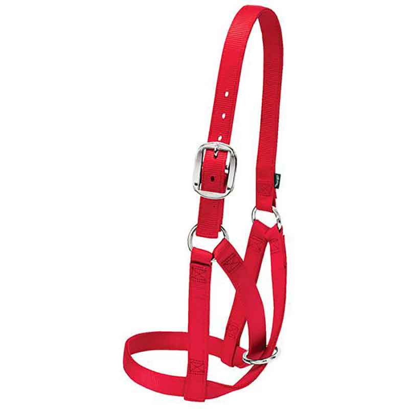 Weaver Barn Small Cow Halter - Image 3