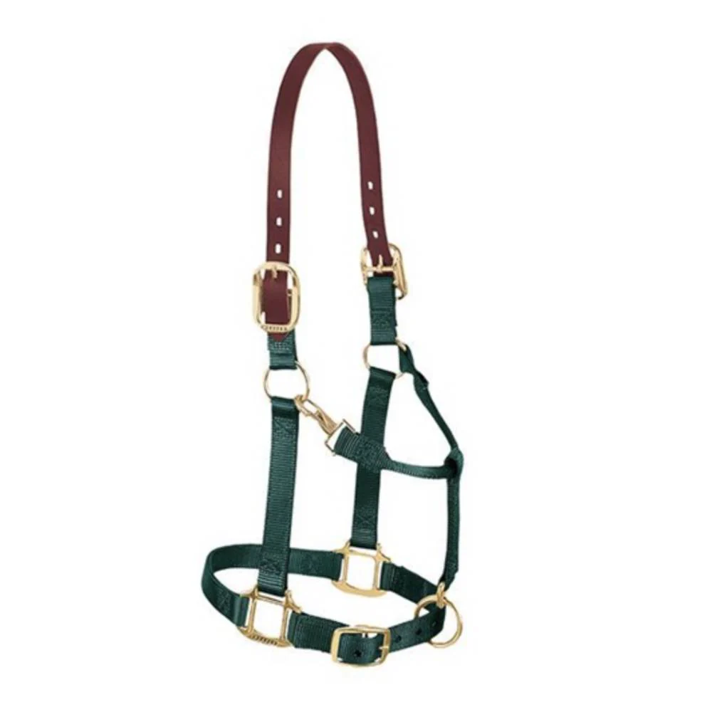 Weaver Original Breakaway Adjustable Halter - Image 4