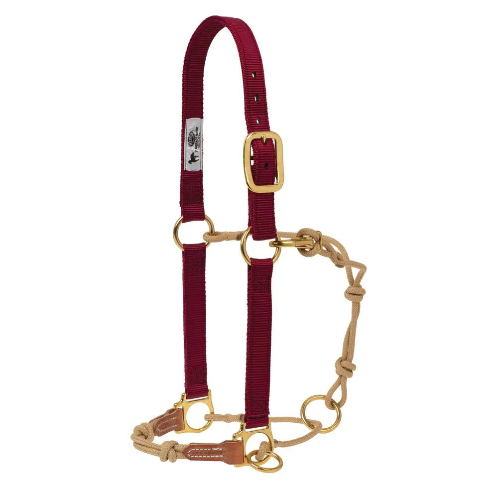 Weaver Horseman's Halter with Side Ring - Image 2