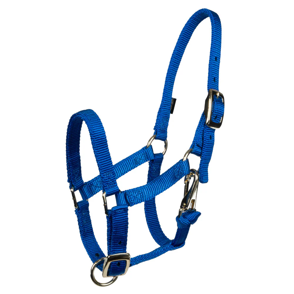 Weaver Miniature Horse Halter - Image 2