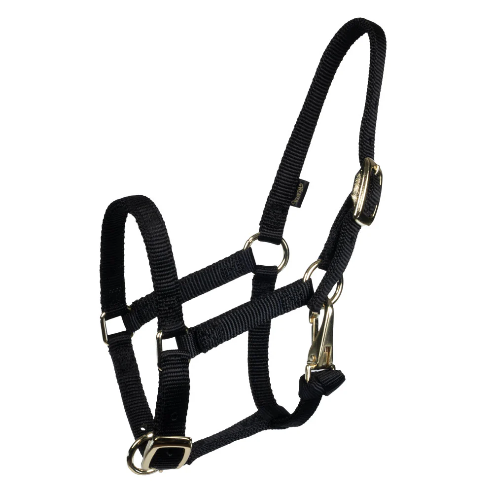 Weaver Miniature Horse Halter - Image 3