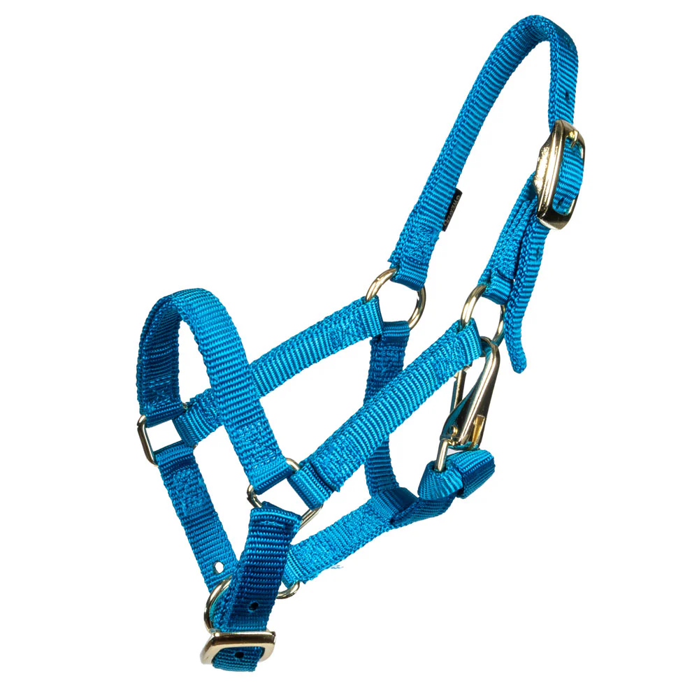Weaver Miniature Horse Halter - Image 4
