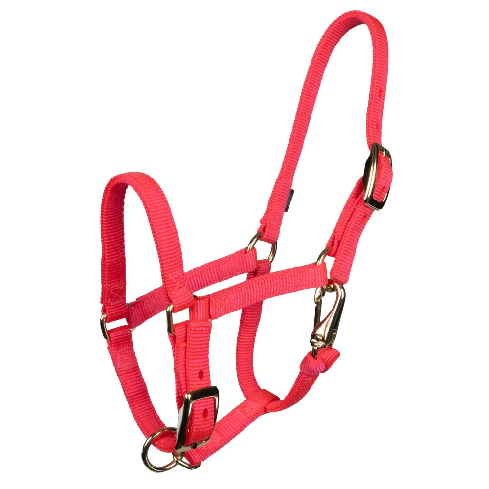 Weaver Miniature Horse Halter - Image 5