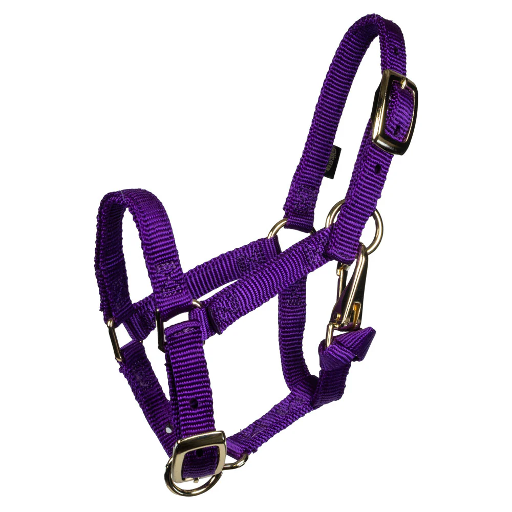 Weaver Miniature Horse Halter - Image 6
