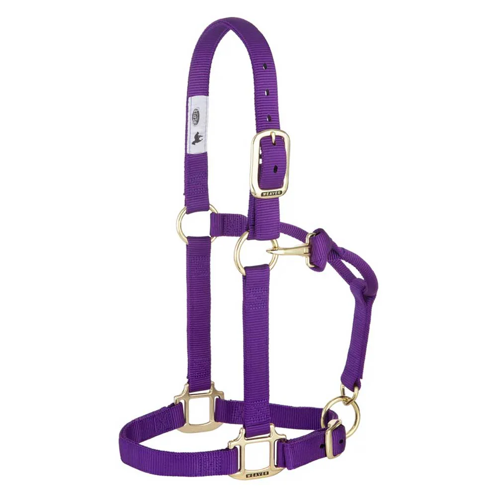 1" Adjustable Chin & Throat Snap Halter for Weanling/Pony - Image 2