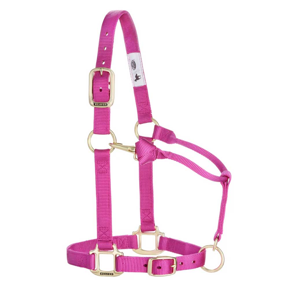 1" Adjustable Chin & Throat Snap Halter for Weanling/Pony - Image 3