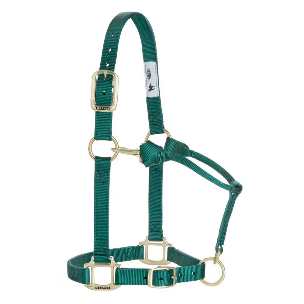 1" Adjustable Chin & Throat Snap Halter for Weanling/Pony - Image 4