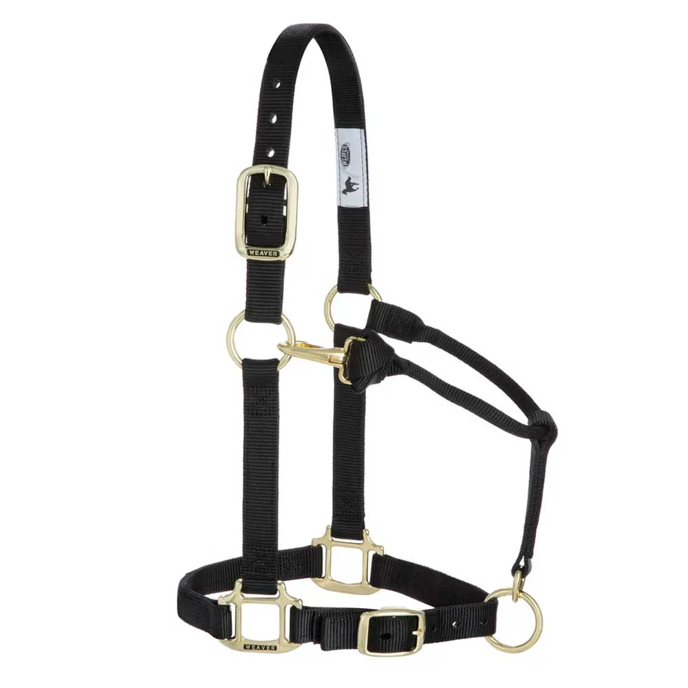 1" Adjustable Chin & Throat Snap Halter for Weanling/Pony - Image 5