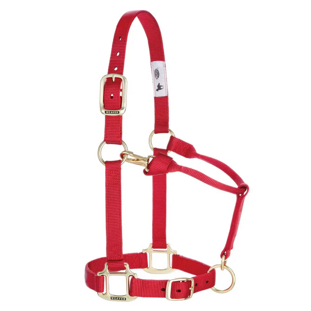 1" Adjustable Chin & Throat Snap Halter for Weanling/Pony - Image 6