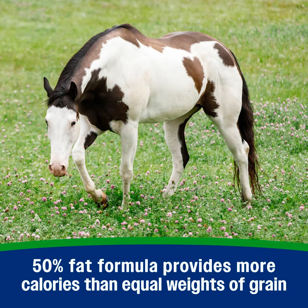 Farnam Weight Builder - Image 5