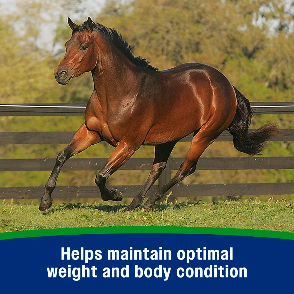 Farnam Weight Builder - Image 7