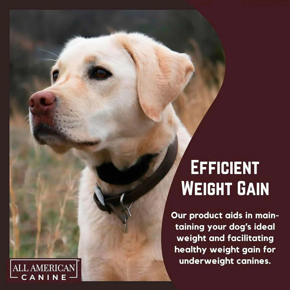 Weight Gainer Soft Chews - Image 3