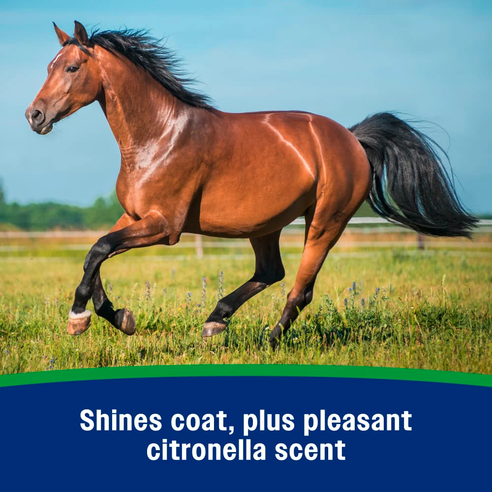 Farnam Wipe II Fly Spray with Citronella - Image 5