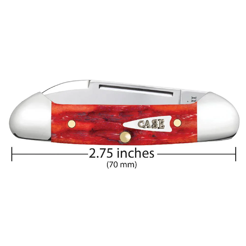 Case Baby Butterbean - Kinfolks Jig Indian Paint Brush Bone - Image 2